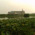 youzhiwei8